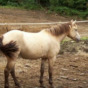 Meet your Posher, Diane